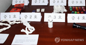 CCTV가 산불 방화범 봉대산 불다람쥐 잡았다