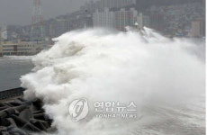 동해안에 1ｍ 쓰나미 78년마다 재현 가능