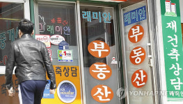 부동산 침체 속 호재 맞은 개포지구