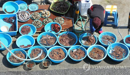 동해안 수산물 안전해요