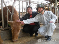 육군 36사, 구제역과 사투 횡성한우 지킴이