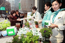 허브 키워보세요