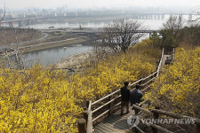 서울의 봄