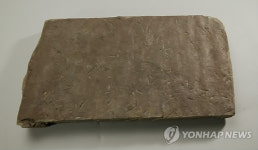 국립김해박물관 숨겨진 보물찾기展