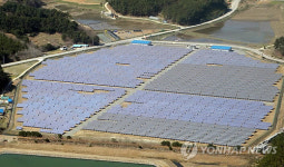 인삼밭이야, 태양광 발전시설이야!