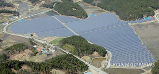 인삼밭이야, 태양광 발전시설이야!