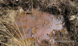 충북환경단체 구제역 매몰지 사후관리 미흡