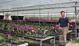 美 플로리다 한인 집단 화훼마을