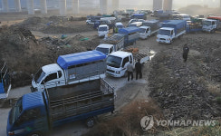 울산 대표 언양가축시장 개장...줄지은 차량들