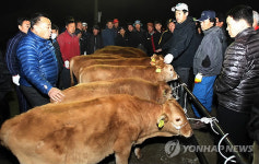 133일만에 다시 문 연 서산 가축시장