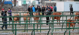 다시 문 연 제천.단양 가축시장