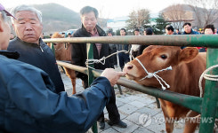 다시 문 연 제천.단양 가축시장