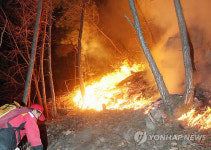 춘천 금병산 등산로서 산불..0.5ha 소실