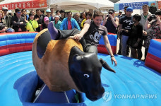 외국인들 청도 소싸움축제 만끽