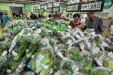 농협, 제철 농축수산물 최대 40% 할인