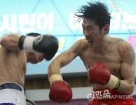 주먹 교환