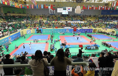 경주 세계태권도선수권 대회