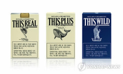 2세대 디스플러스 출시