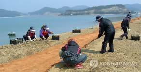 바닷가서 황토 맨발체험 어때요