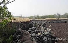 제주 돌문화공원의 전통초가마을
