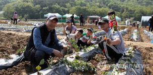 충남농협 2011년 주말농장 개장