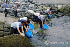 충남도 "올해 9종 500만마리 수산종묘 방류"