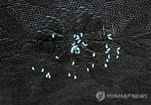 <카메라뉴스> 남원 한 농가에 우담바라(?)