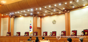 '불법체류 외국인 긴급보호, 강제퇴거 위헌' 공개변론
