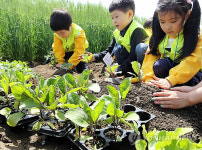 서초구, 꽃초롱 자연학습장 개장