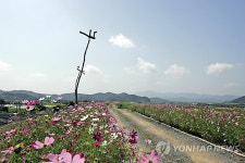 함안군, 전국 최장 둑길에 레저문화체험단지 조성