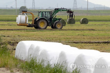 소 사료용 풀곤포 만들기
