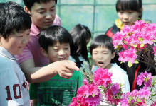 나비 정말 예뻐요