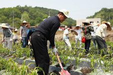 법제처, 옥천 와정마을과 자매결연
