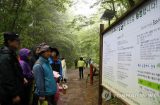 사려니 숲길을 찾은 관광객들