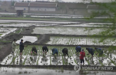 북한 황금평 일대 모습