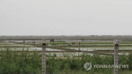 북한 황금평 일대 모습