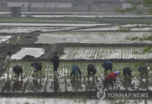 북한 황금평 일대 모습