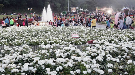 장미의 화원 울산