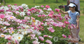 초여름 꽃밭 수도권매립지 야생화단지