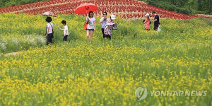 초여름 꽃밭 수도권매립지 야생화단지
