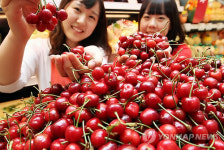 국산 체리 먹고 예뻐지세요