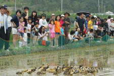 오리들아 친환경 풍년농사를 부탁해