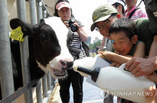 신나는 도심 속 목장체험
