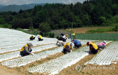 강원경찰, 1사 1촌 마을서 봉사활동