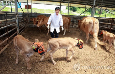 장흥군 명품한우 농장 청와대 소개 화제