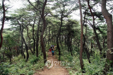 마곡사 솔바람길서 즐기는 공정여행 어때요