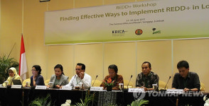REDD+ 국제워크숍