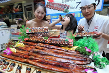 캐나다산 자연산 민물장어가 왔어요