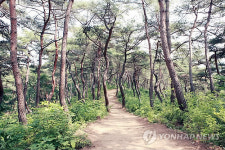 마곡사 솔바람길