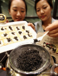 귀한 캐비아 맛보러 오세요